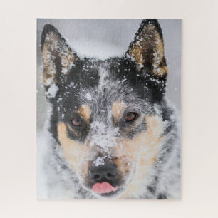 Puzzle Perro Blue Heeler en la nieve