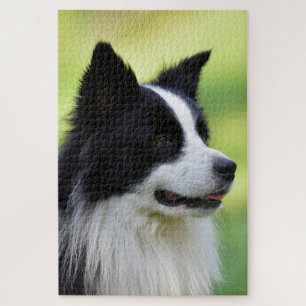 Puzzle Perro Border Collie negro y blanco
