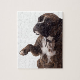 Puzzle perro boxeador