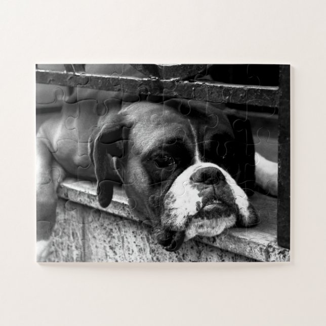 Puzzle Perro Boxer En Windowsill 11x14 30pc jpcna (Horizontal)