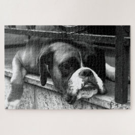 Puzzle Perro Boxer En Windowsill 20x30 1014pc jpcn