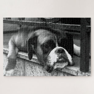 Puzzle Perro Boxer En Windowsill 20x30 1014pc jpcn