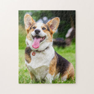 Puzzle Perro cachorro de Corgi galés