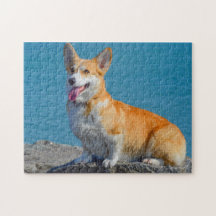 Perro cachorro de Corgi galés