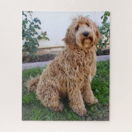 Puzzle Perro cachorro de Labradoodle