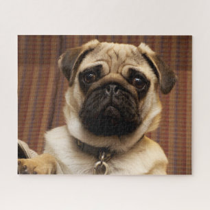 Puzzle Perro cachorro puerro