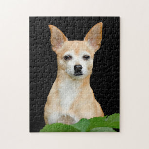 Puzzle Perro chihuahua, retrato de Mascota de arte negro