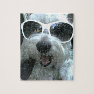 Puzzle Perro con gafas de sol
