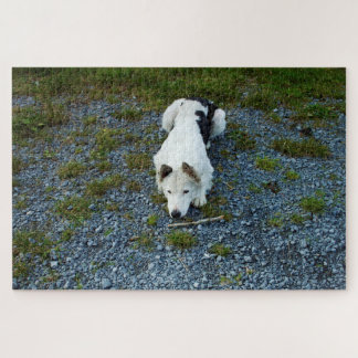 Puzzle Perro con palo