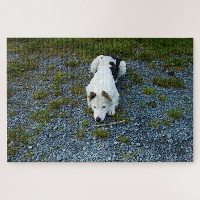 Puzzle Perro con palo (Horizontal)