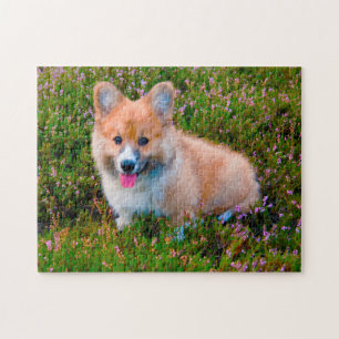 Puzzle Perro Corgi.