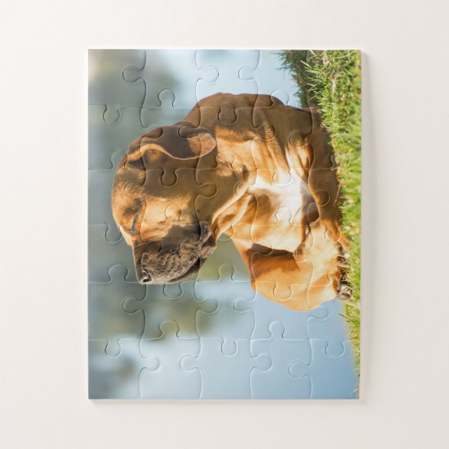 Puzzle Perro Cute Boerboel (Vertical)