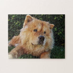 Puzzle Perro Cute Chow Chow