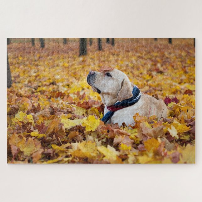Puzzle Perro Cute Labrador En Hojas Caídas (Horizontal)