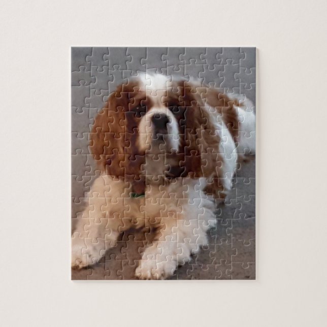 Puzzle Perro de aguas de rey Charles arrogante adorable (Vertical)