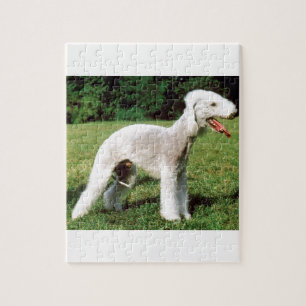 Puzzle Perro de Bedlington Terrier