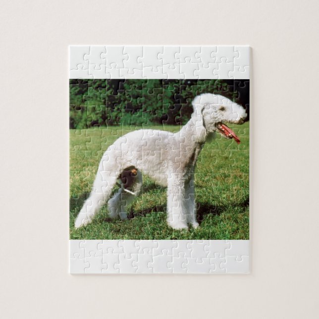 Puzzle Perro de Bedlington Terrier (Vertical)