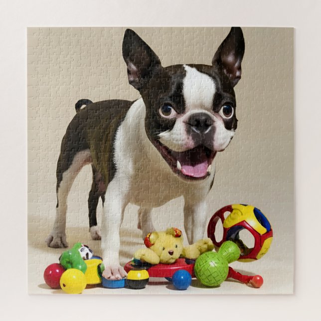 Puzzle Perro de Boston Terrier jugando con juguetes (Vertical)