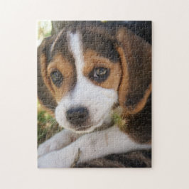 Puzzle Perro de cachorro Beagle  