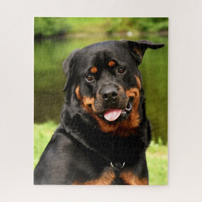 Puzzle Perro de cachorro negro y tan rotuiler (Vertical)