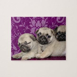 Puzzle Perro de cachorros