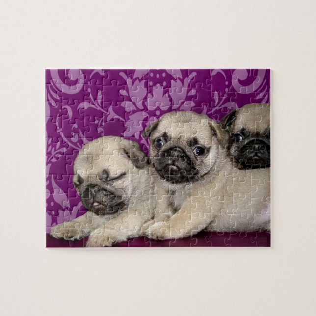 Puzzle Perro de cachorros (Horizontal)