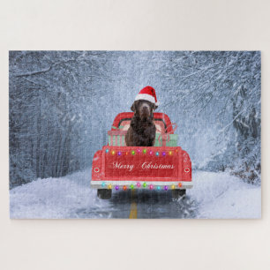 Puzzle Perro de chocolate labrador en nieve en Navidades