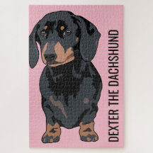 Perro de Dachshund, Mascota