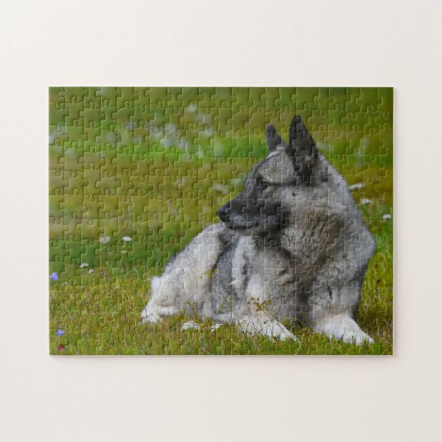 Puzzle Perro de elk Hound. (Horizontal)