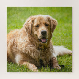 Puzzle Perro de Golden Retriever