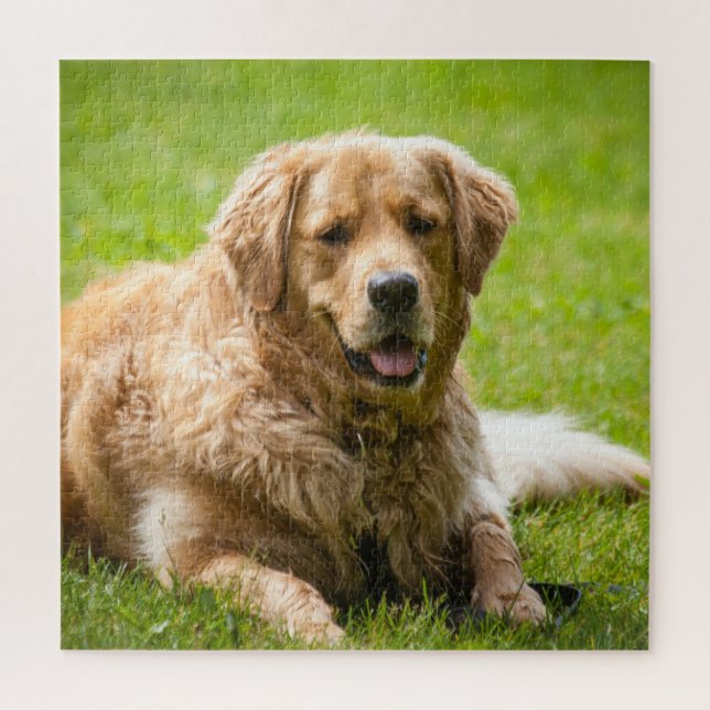 Puzzle Perro de Golden Retriever (Vertical)