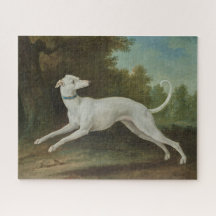 Perro de Greyhound blanco (por Jean-Baptiste Oudry