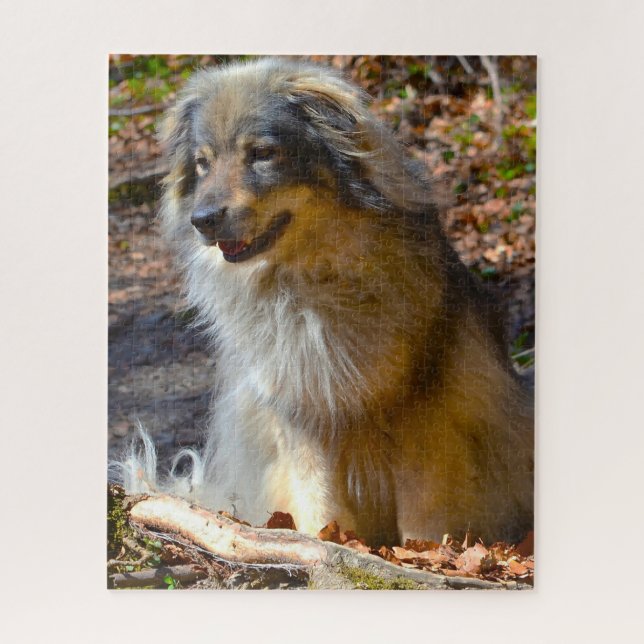 Puzzle Perro de Karst Shepherd. (Vertical)