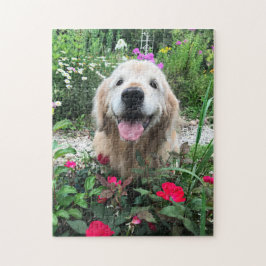 Puzzle Perro de la recuperación dorada sonriente entre la