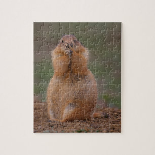 Puzzle perro de las praderas