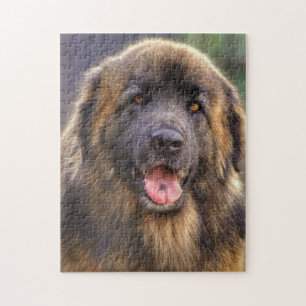 Puzzle Perro de Leonberger