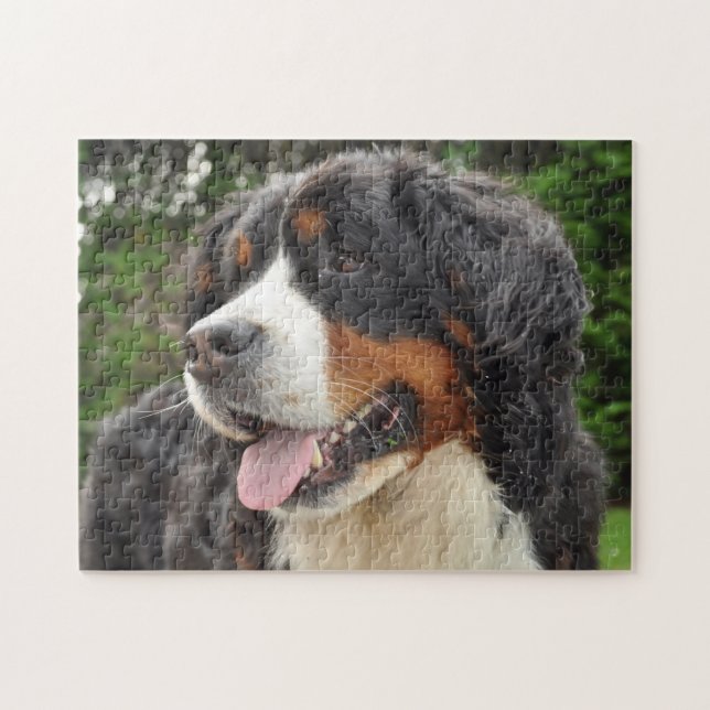 Puzzle Perro de montaña bernés. (Horizontal)