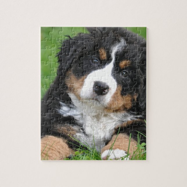 Puzzle Perro de montaña de Bernese (Vertical)