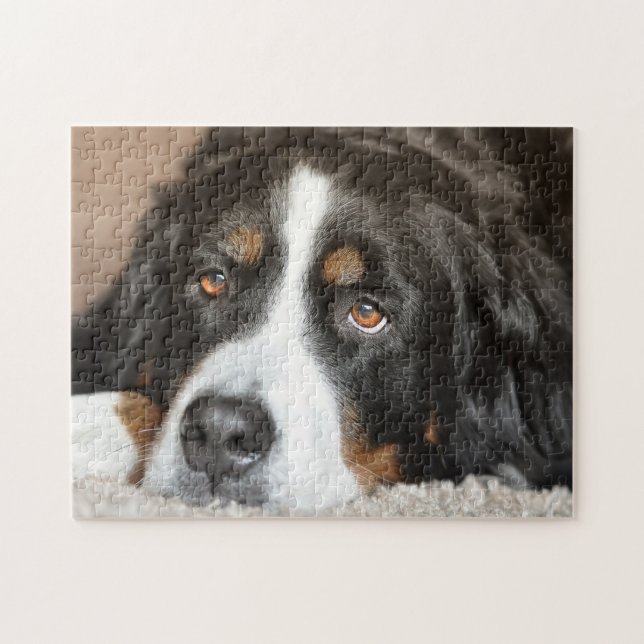Puzzle Perro de montaña de Bernese (Horizontal)