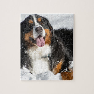 Puzzle Perro de montaña de Bernese feliz en nieve del