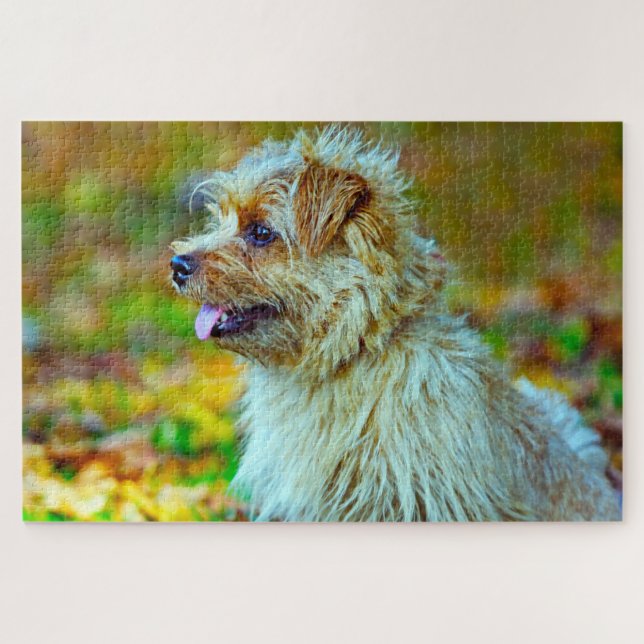 Puzzle Perro de Norfolk terrier. (Horizontal)