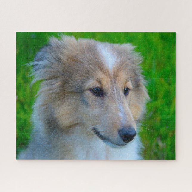 Puzzle Perro de oveja Shetland Jigsaw. (Horizontal)