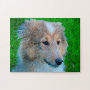 Puzzle Perro de oveja Shetland Jigsaw.