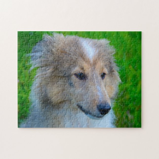 Puzzle Perro de oveja Shetland Jigsaw. (Horizontal)