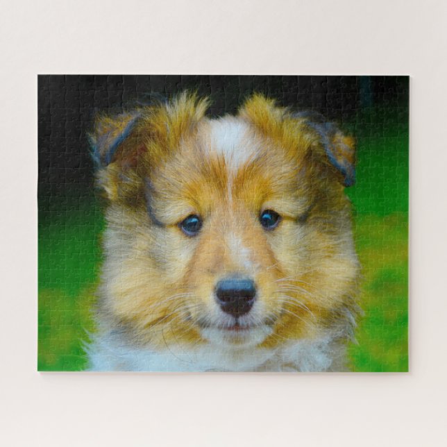 Puzzle Perro de oveja Shetland Jigsaw. (Horizontal)