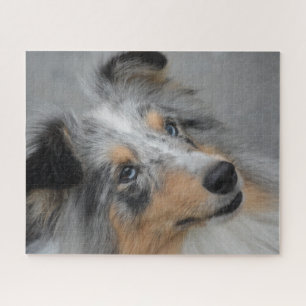 Puzzle Perro de oveja Shetland Jigsaw.