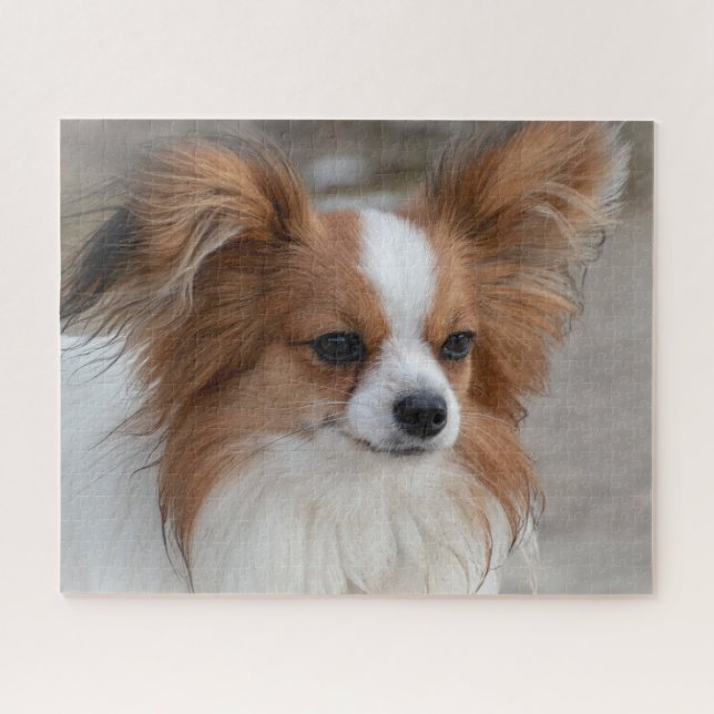 Puzzle Perro de Papillon amigable (Horizontal)