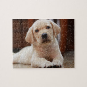 Puzzle Perro de perrito amarillo de Labrador del bebé qu