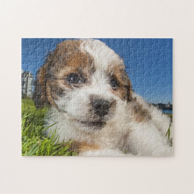 Puzzle Perro de perrito lindo (Shitzu) (Horizontal)