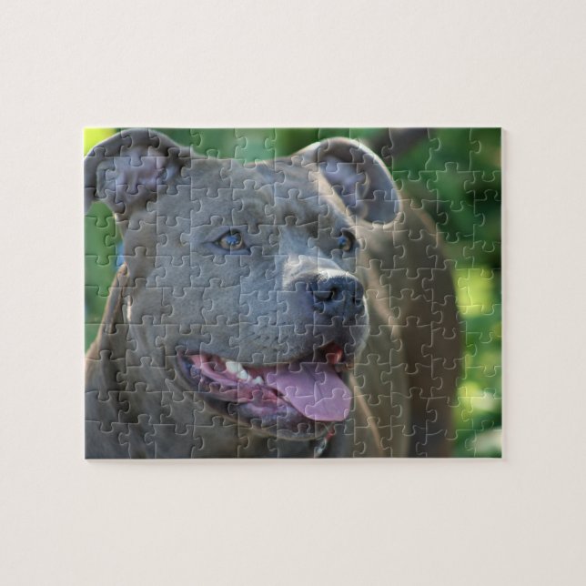 Puzzle Perro de Pitbull (Horizontal)